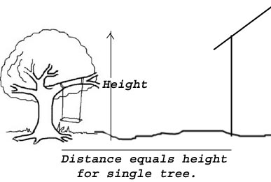 Distance between tree and building